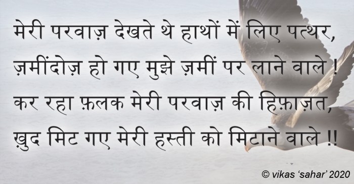 parvaaz